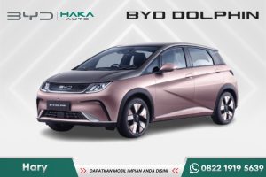 BYD DOLPHIN